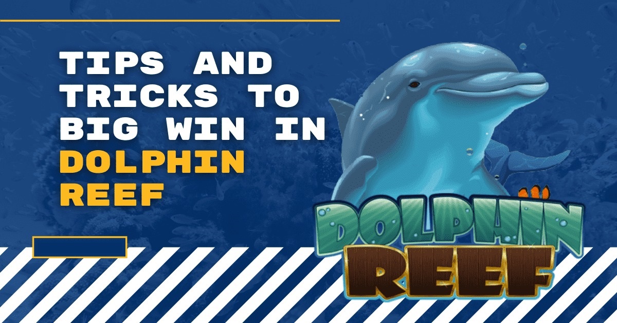 Tips And Tricks To Big Win In Dolphin Reef