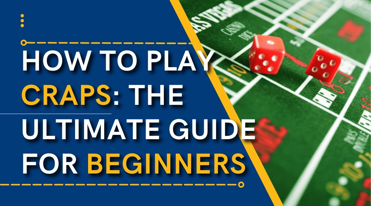 The Ultimate Guide for Beginners